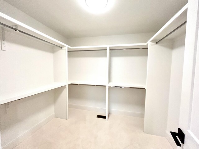 walk in closet featuring carpet flooring