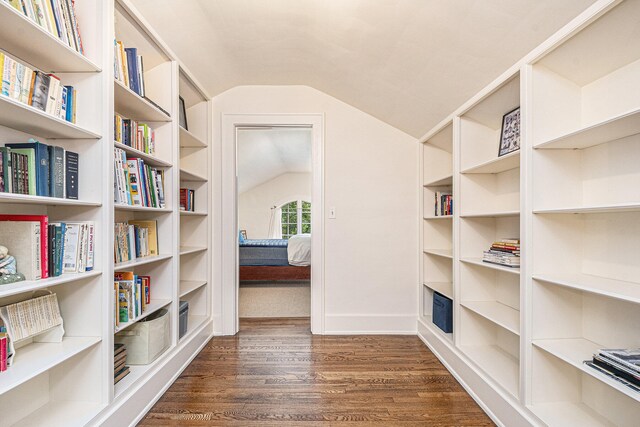 walk in closet featuring lofted ceiling and dark hardwood / wood-style floors