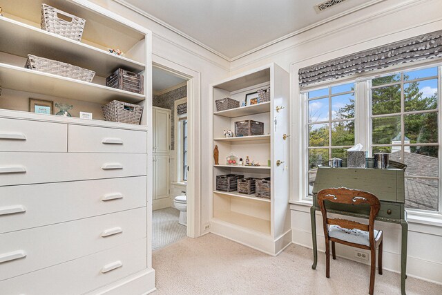 spacious closet featuring light colored carpet