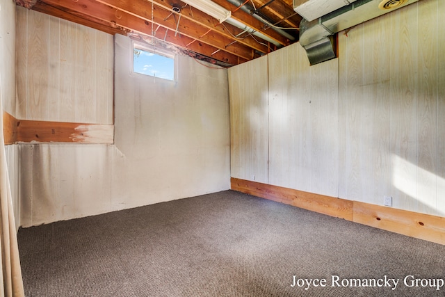 basement featuring carpet floors