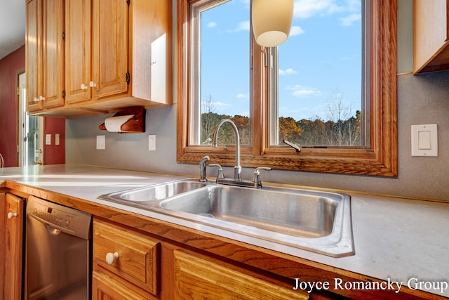 kitchen with stainless steel dishwasher and sink