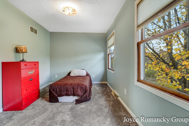 bedroom featuring a textured ceiling, carpet flooring, and multiple windows