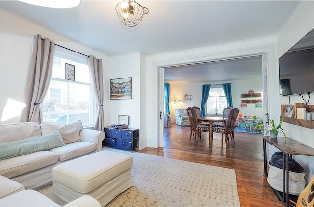 living room with crown molding, dark wood-type flooring, and a wealth of natural light