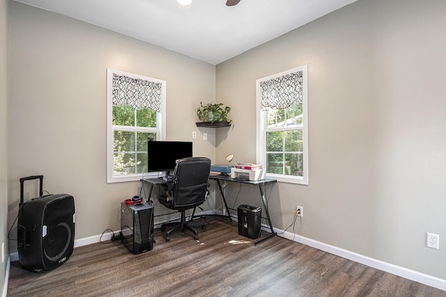 office area featuring a wealth of natural light and dark wood-type flooring