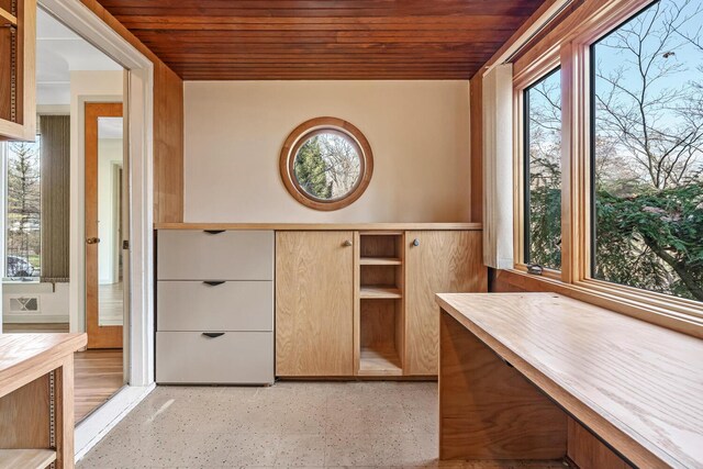 unfurnished office featuring a healthy amount of sunlight and wood ceiling