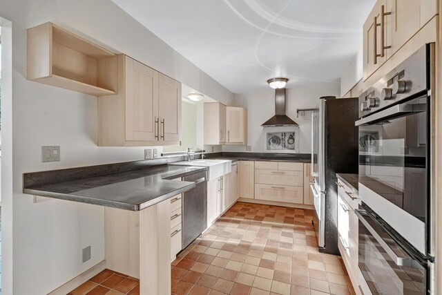 kitchen with wall chimney range hood, sink, and stainless steel appliances