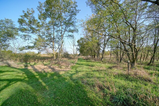 view of landscape