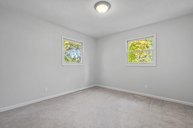 unfurnished room featuring a healthy amount of sunlight, carpet, and a textured ceiling