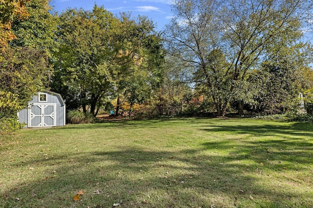 view of yard with a storage shed