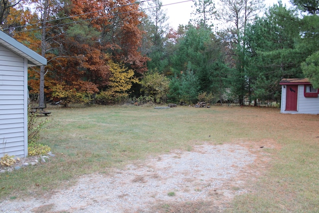 view of yard with a shed