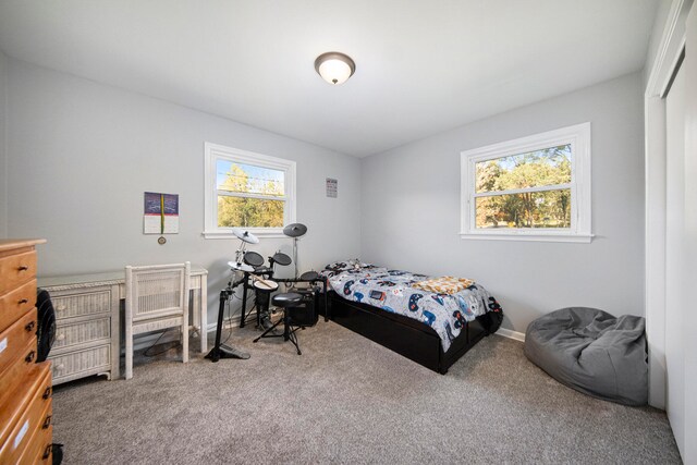 bedroom featuring carpet and multiple windows