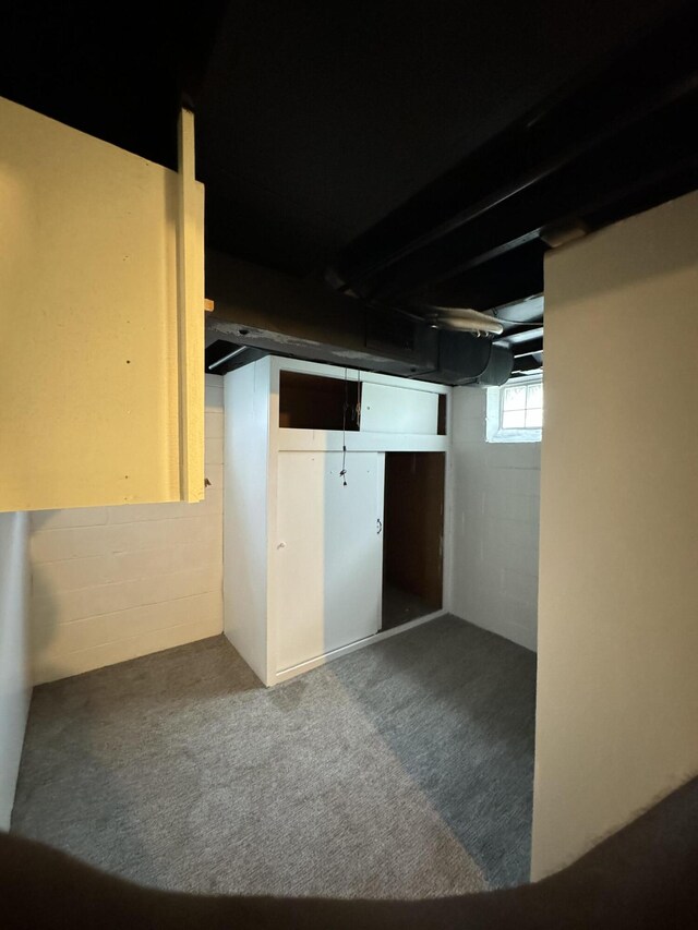 basement with carpet