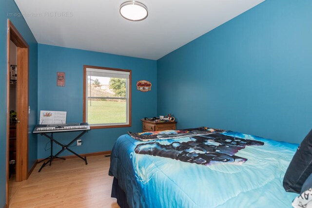 bedroom featuring wood-type flooring