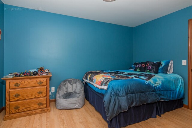 bedroom featuring wood-type flooring