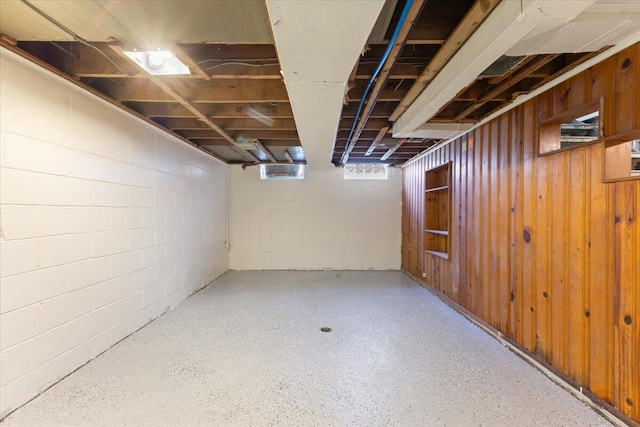 basement with wood walls