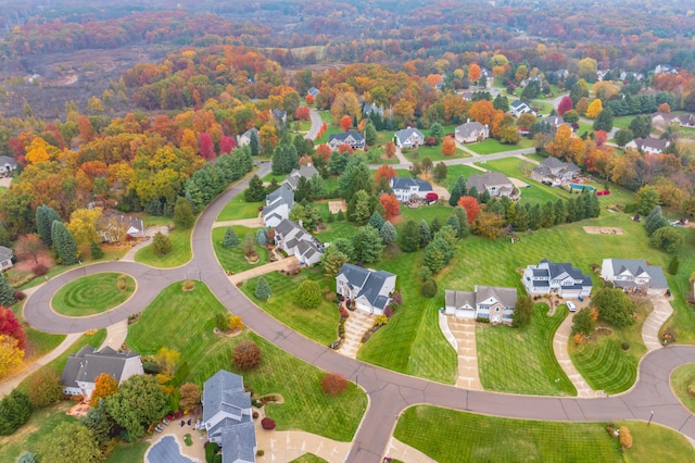 bird's eye view