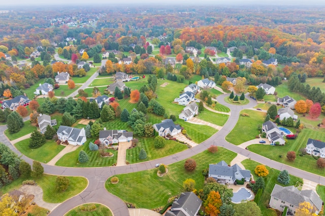 aerial view