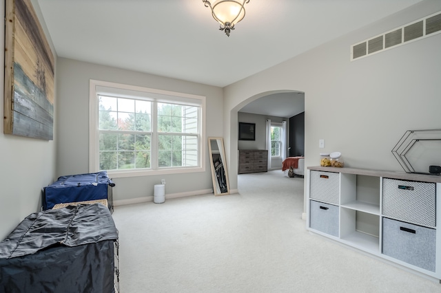 carpeted bedroom with multiple windows