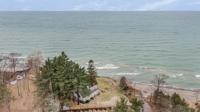 property view of water featuring a beach view