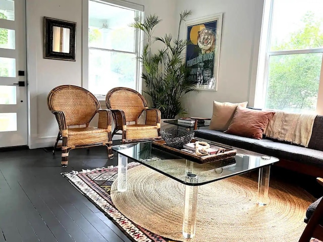 sitting room featuring wood-type flooring