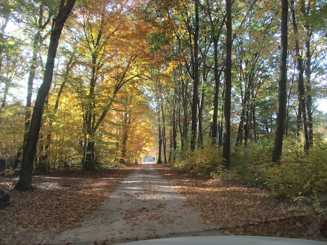 view of road