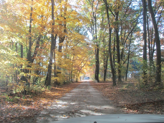 view of road