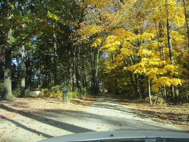 view of road