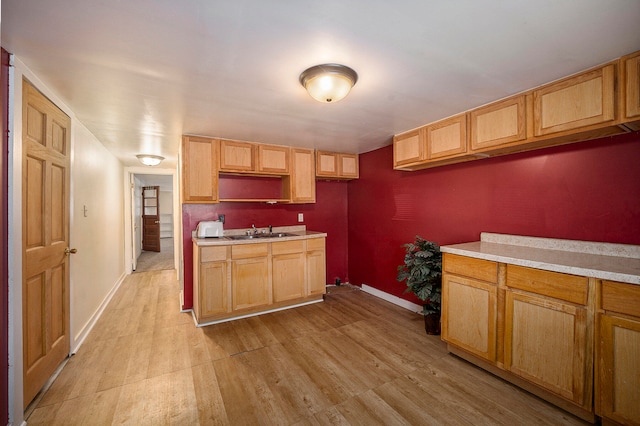 kitchen featuring light hardwood / wood-style floors and sink