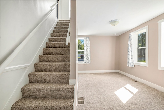 staircase featuring carpet flooring