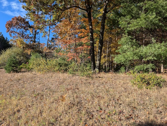 Oakridge Dr, Ludington, MI 49431 - photo 1