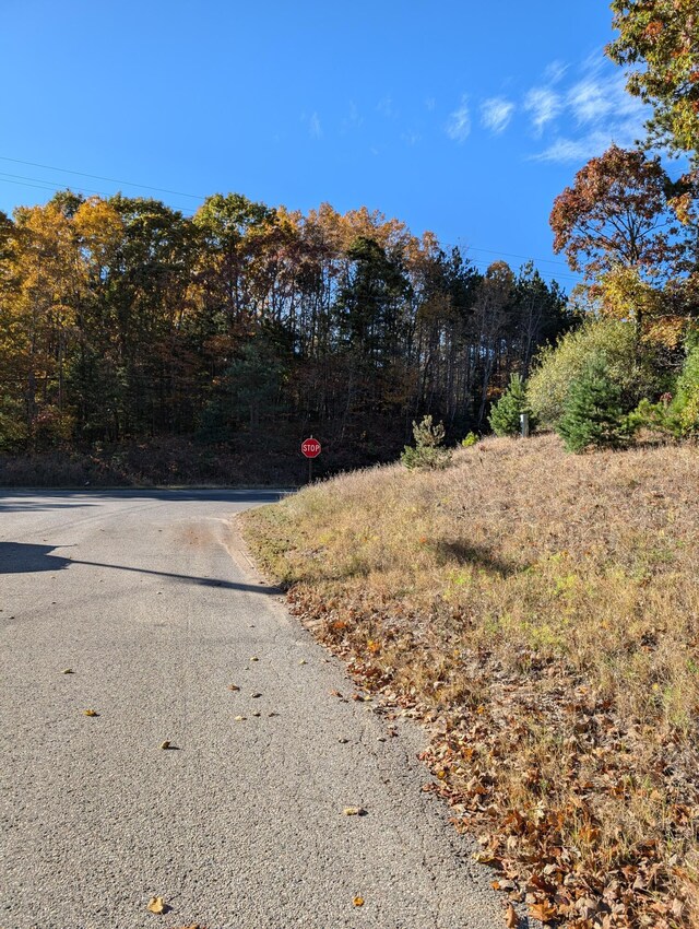 Oakridge Dr, Ludington, MI 49431 - photo 2