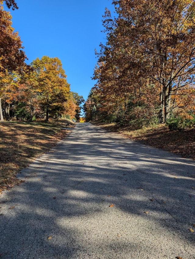 Oakridge Dr, Ludington, MI 49431 - photo 3