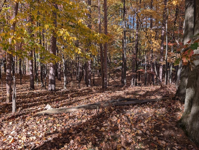Oakridge Dr, Ludington, MI 49431 - photo 4