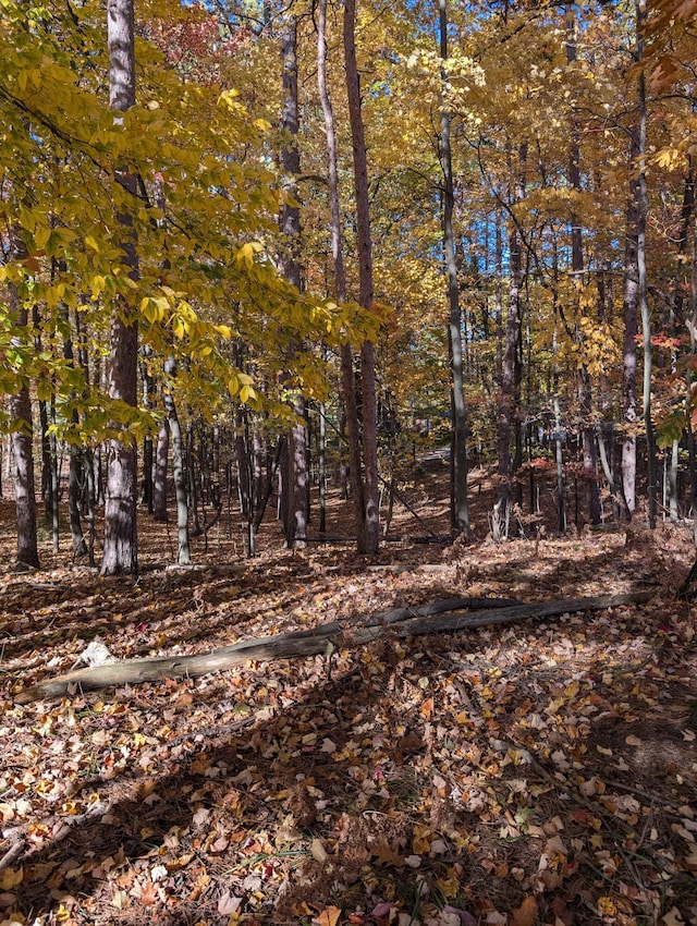 Oakridge Dr, Ludington, MI 49431 - photo 5