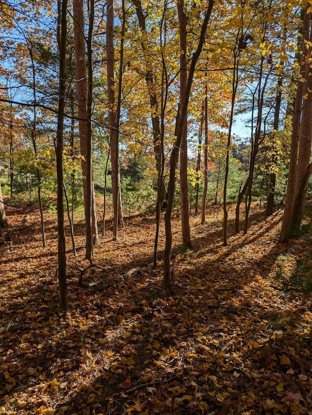 Oakridge Dr, Ludington, MI 49431 - photo 7