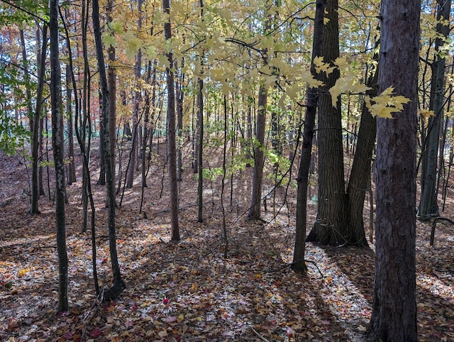 Oakridge Dr, Ludington, MI 49431 - photo 8