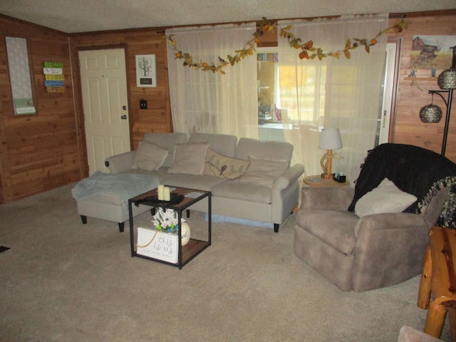 living room with carpet and wooden walls