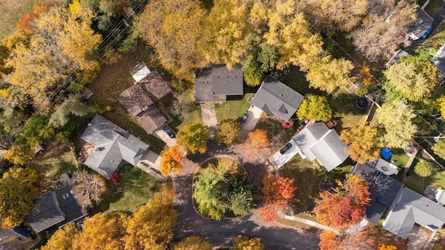 bird's eye view