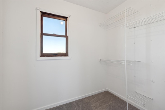 walk in closet with carpet