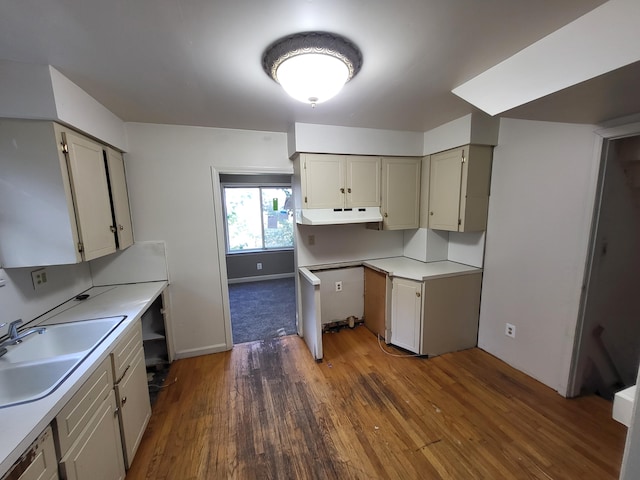 kitchen with sink and dark hardwood / wood-style flooring