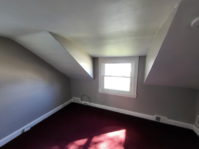 additional living space with carpet and lofted ceiling