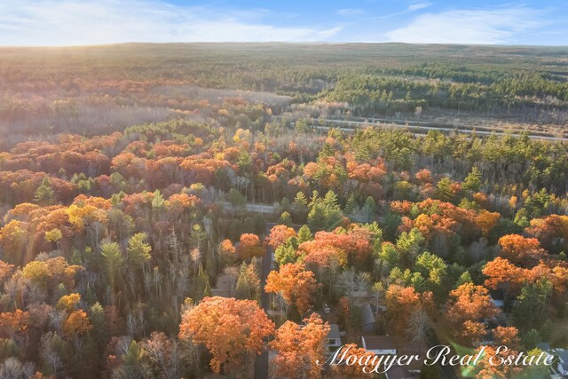 drone / aerial view