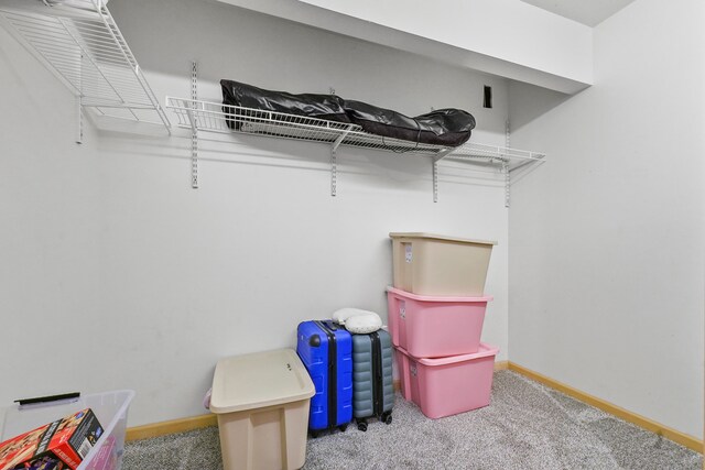 spacious closet with carpet