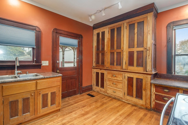 kitchen featuring ornamental molding, sink, light hardwood / wood-style flooring, and a healthy amount of sunlight