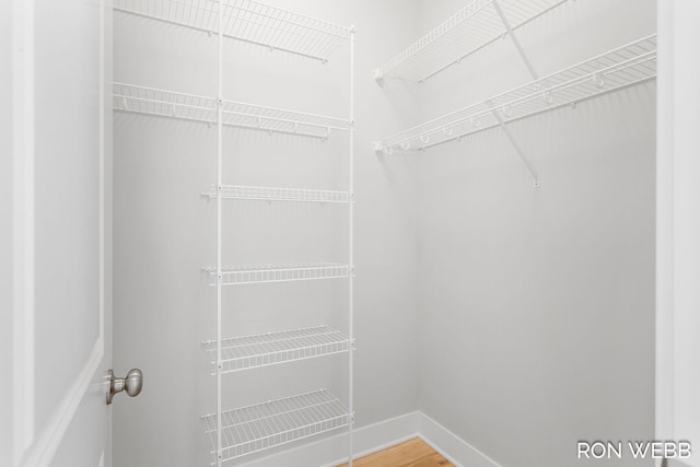 spacious closet with hardwood / wood-style floors