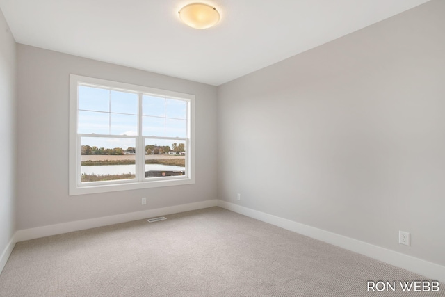 spare room featuring carpet floors