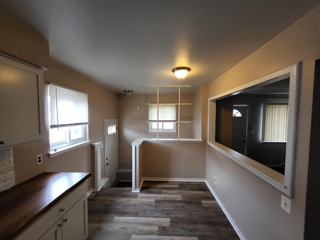 unfurnished dining area with dark hardwood / wood-style flooring