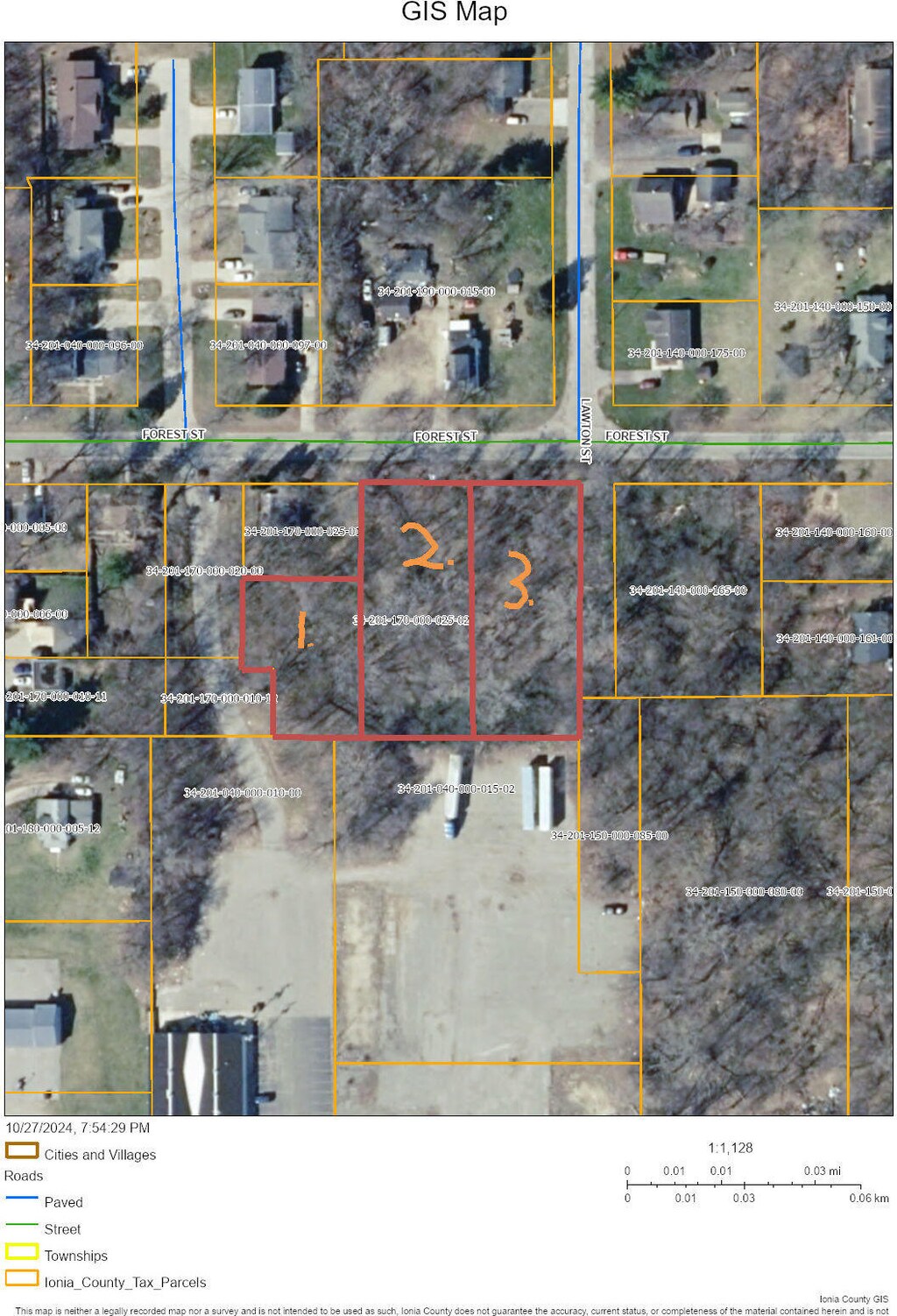 407 Forest St, Ionia, MI 48846