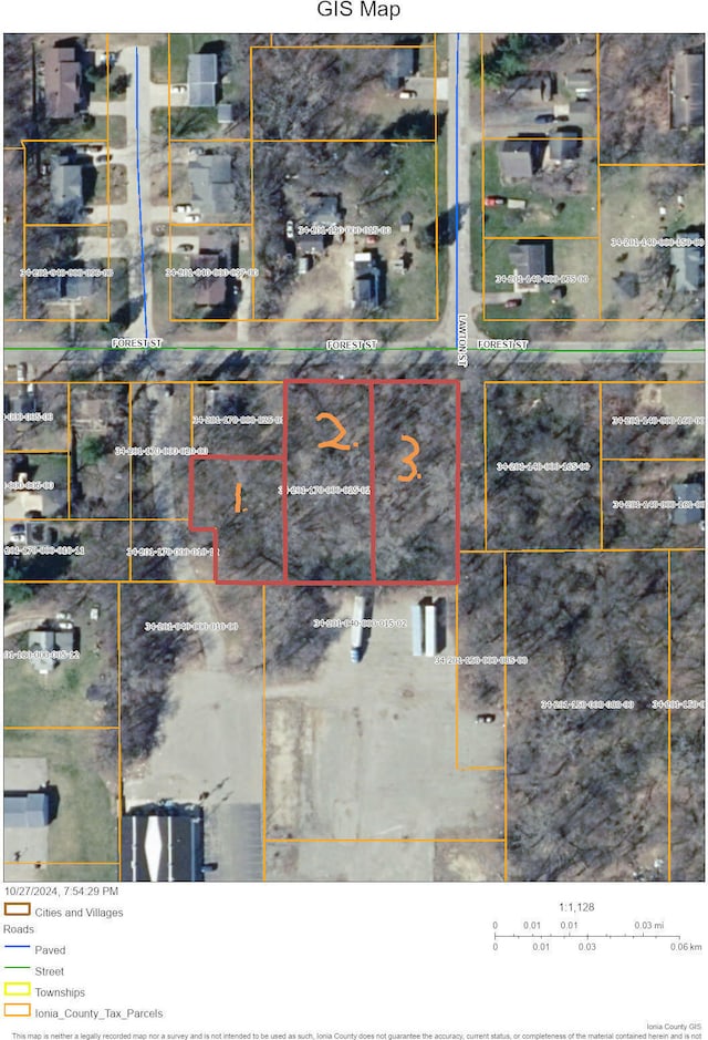 407 Forest St, Ionia, MI 48846