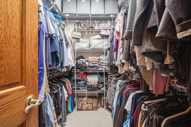 spacious closet featuring carpet